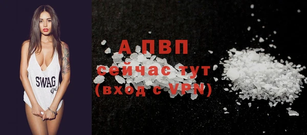 ПСИЛОЦИБИНОВЫЕ ГРИБЫ Магас