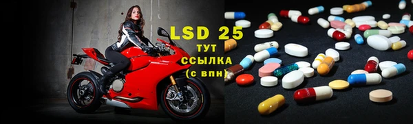 прущий лед Липки