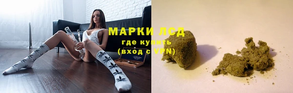 ПСИЛОЦИБИНОВЫЕ ГРИБЫ Магас