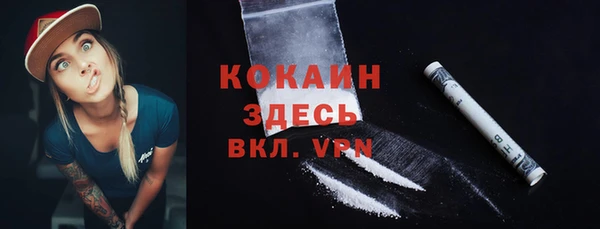 ПСИЛОЦИБИНОВЫЕ ГРИБЫ Магас
