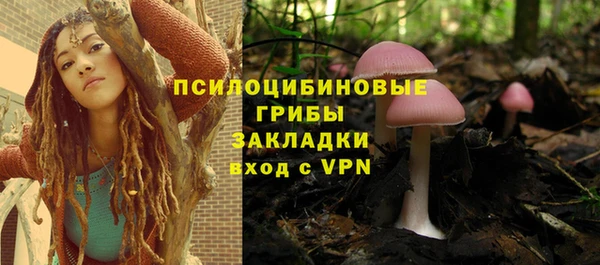 герыч Майский