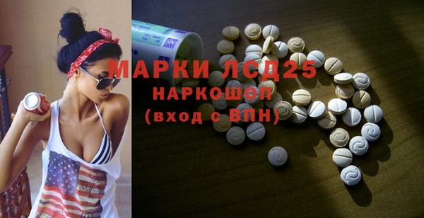 ПСИЛОЦИБИНОВЫЕ ГРИБЫ Магас