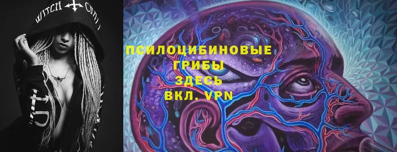 Галлюциногенные грибы Cubensis Зуевка