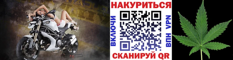 Шишки марихуана Ganja  Зуевка 